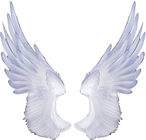 pngwings